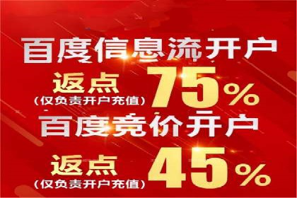 百度竞价推广：从投放策略到效果评估的全过程